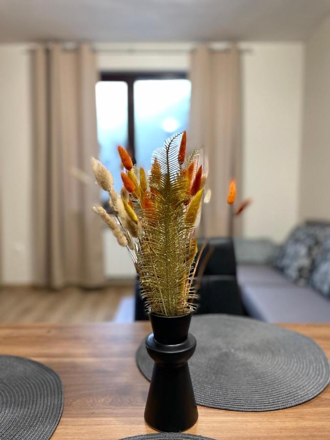 Apartment E23 Borovets Gardens Eksteriør bilde